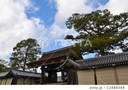 京都御所　建礼門 12886088