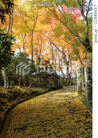 海住山寺 12886657