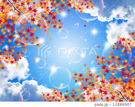 もみじ 紅葉 風景のイラスト素材