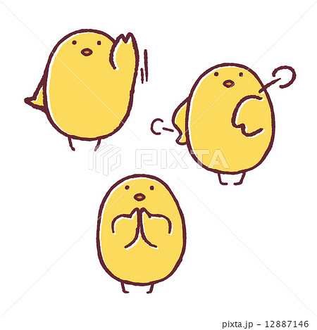 ヒヨコポーズ-26 12887146