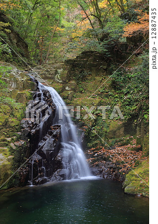 赤目四十八滝・紅葉の不動滝 12887435