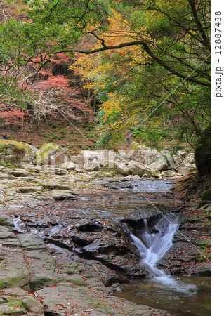 赤目四十八滝・紅葉の乙女滝 赤目四十八滝・紅葉の乙女滝 12887438