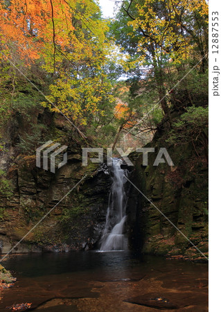 赤目四十八滝・紅葉の琵琶滝 赤目四十八滝・紅葉の琵琶滝 12887553