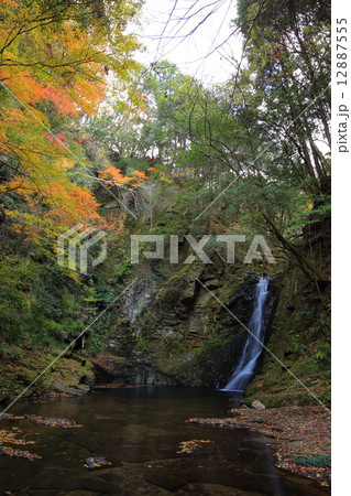 赤目四十八滝・紅葉の琵琶滝 赤目四十八滝・紅葉の琵琶滝 12887555