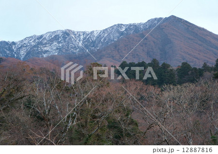 【日本百名山】晩秋の大山の夕照1 鳥取県西伯郡大山町 【日本百名山】晩秋の大山の夕照1 鳥取県西伯郡大山町 12887816
