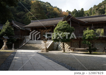 晩秋の美保神社の境内　島根県松江市 12887829