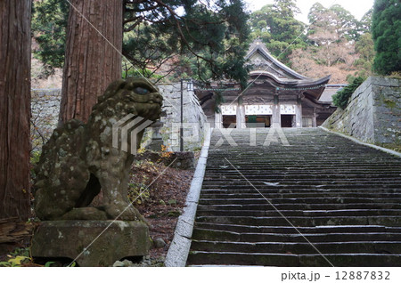 初冬の大神山神社奥宮参道　鳥取県西伯郡大山町 12887832
