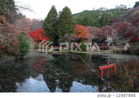 紅葉の鳥見山公園（宇陀市） 12887888