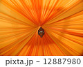 赤橙 12887980