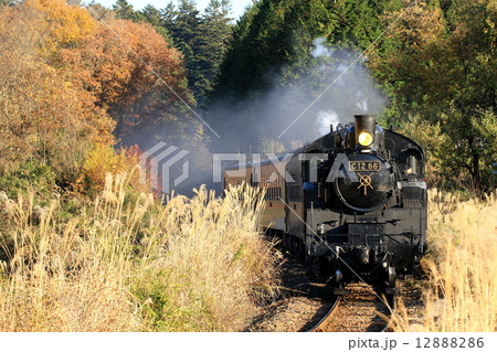 真岡鐵道「初冬の情景とSL」 12888286