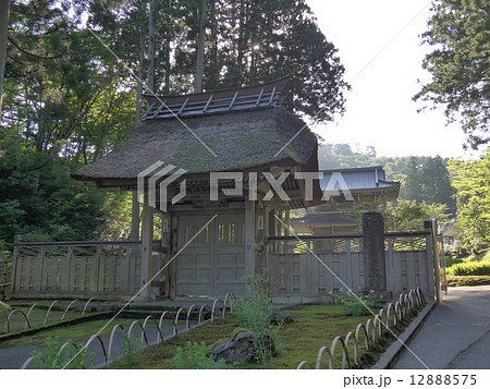 林泉寺惣門と山門 12888575