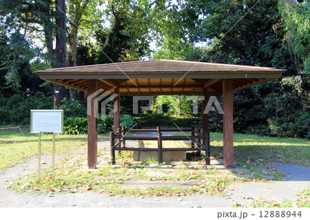 小石川植物園の井戸 12888944