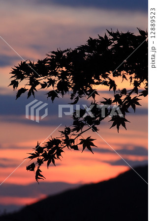 謙信平の夕暮れ 12889523
