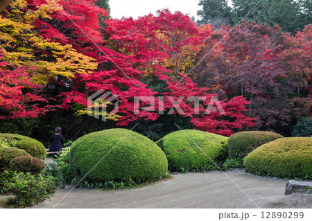 秋の詩仙堂 秋の詩仙堂 12890299