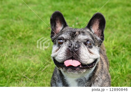 なぁに!? なぁに!? 12890846