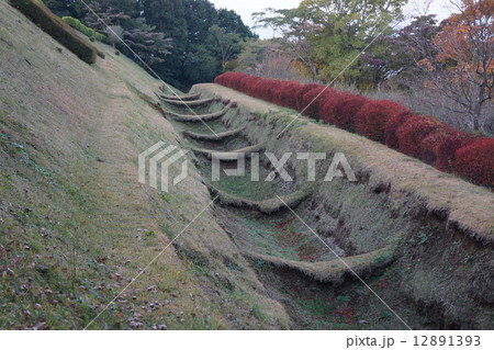 山中城　畝堀 12891393