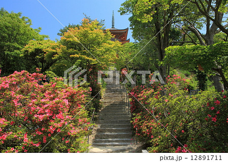 生口島 向上寺 生口島 向上寺 12891711