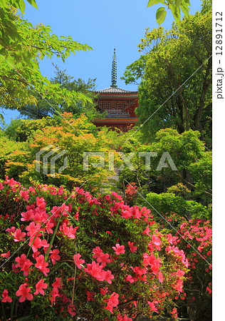 生口島 向上寺 生口島 向上寺 12891712