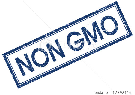 non gmo blue square stamp isolated on white background 12892116