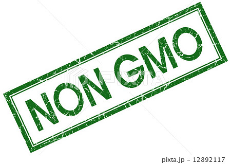 non gmo green square stamp isolated on white background 12892117