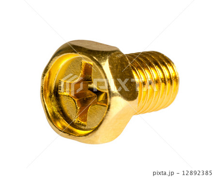 Gold screw 12892385
