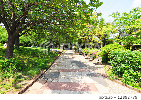 目黒区立西郷山公園 12892779