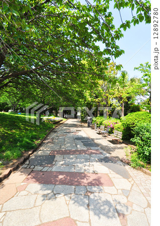 目黒区立西郷山公園 12892780