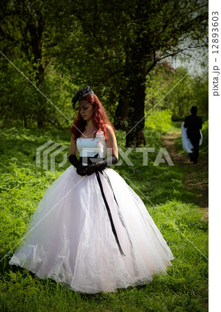 bride bride 12893603