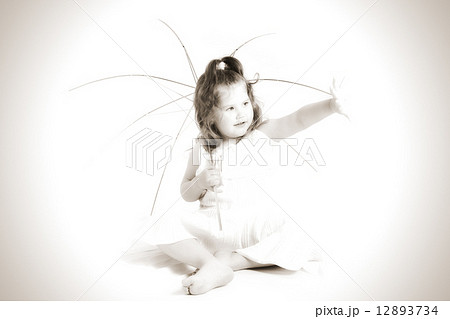 portrait portrait 12893734