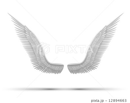 White open angel wings. White open angel wings. 12894663