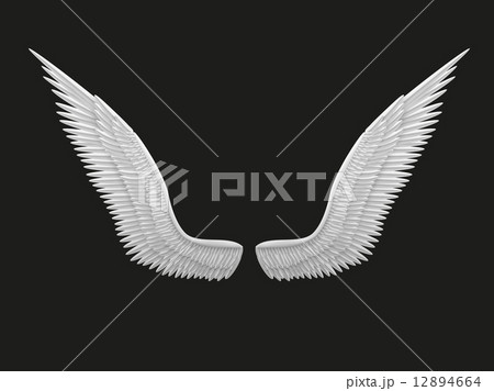 White open angel wings. White open angel wings. 12894664