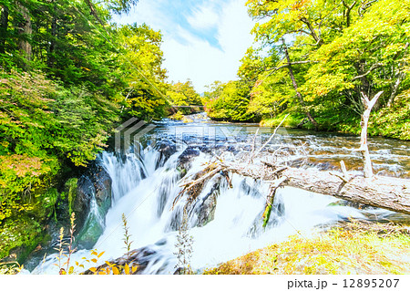 湯川 湯川 12895207