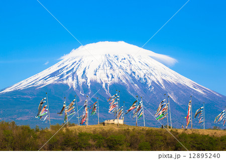 富士山と鯉のぼり 富士山と鯉のぼり 12895240