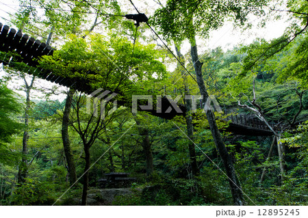 汐見滝吊り橋 汐見滝吊り橋 12895245