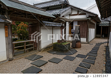 萩 萩 12895347