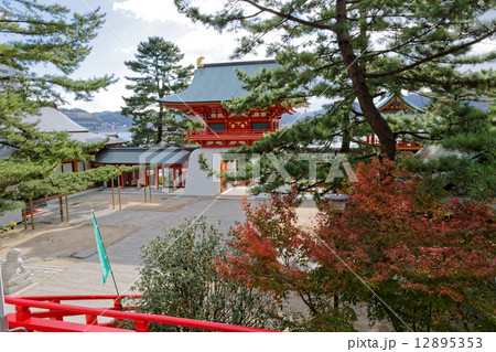 赤間神社 12895353