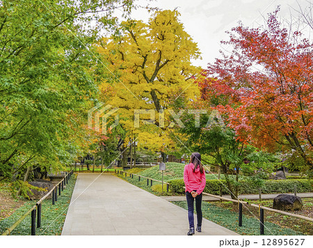 紅葉の浄真寺参道 紅葉の浄真寺参道 12895627