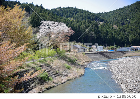 熊野古道 熊野古道 12895650