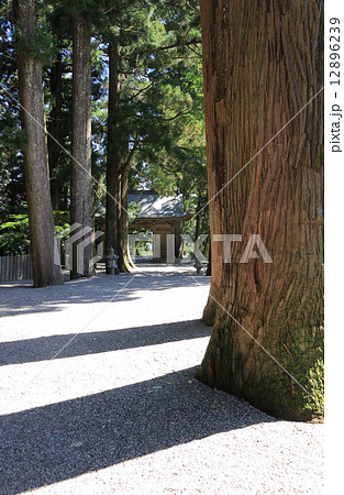 四国霊場第12番札所「焼山寺」、参道から山門を見る 12896239