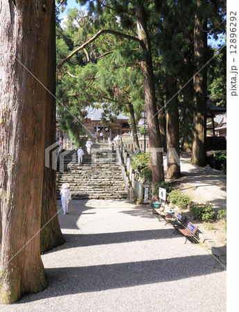 四国霊場第12番札所「焼山寺」杉の巨木の中を本堂に向かうお遍路さん 12896292