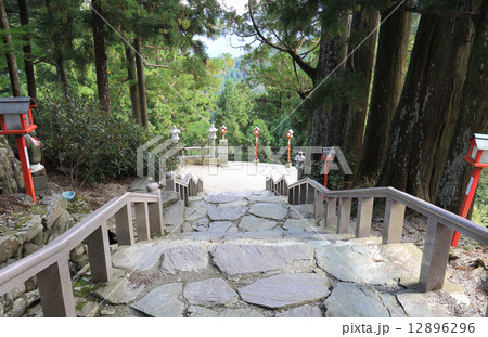 四国霊場第12番札所「焼山寺」仁王門から下る石段 12896296
