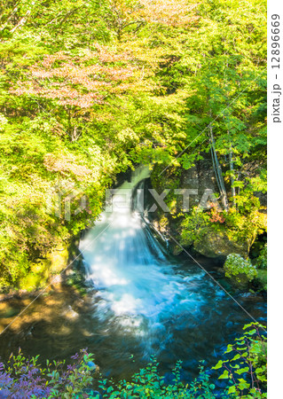 竜頭の滝 12896669