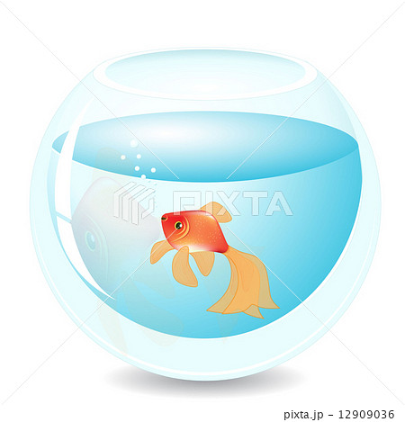 aquarium 12909036