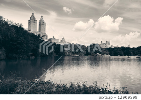 Central Park Spring 12909599