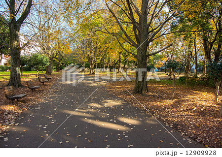 戸山公園 12909928