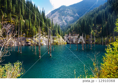 Kaindy Lake in Tien Shan mountain, Kazakhstan. 12910368