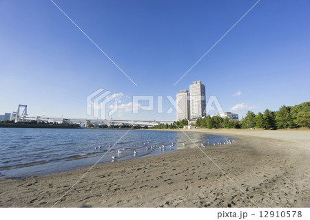 快晴青空 お台場海浜公園 12910578