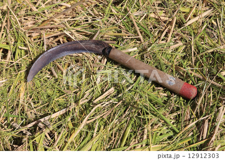 鎌（コンバインでの稲刈りにも鎌は必要です） 12912303