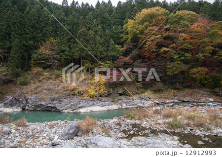 秩父の紅葉と荒川 12912993