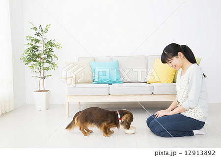 ミニチュアダックスと若い女性 12913892